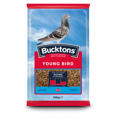 [buc125] Bucktons Young Bird Pigeon Feed
