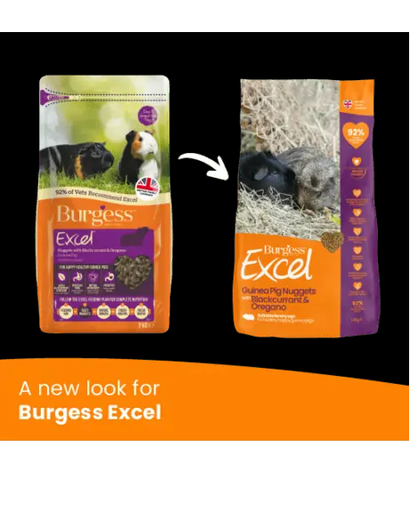 Burgess Excel Guinea Pig Nuggets With Blackcurrant & Oregano