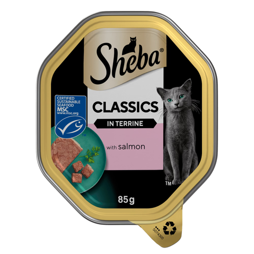 Sheba Classics Wet Cat Food Tray Salmon In Terrine 11 X