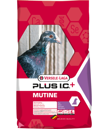 [VER03A] Versele Laga Mutine Plus I.C. + Racing Pigeon Feed