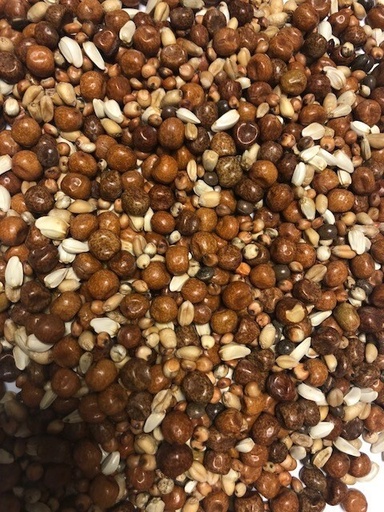 Gem Breed & Wean (Recommended For Breeding) All Year Round