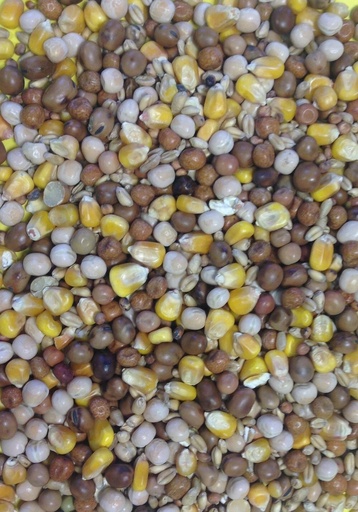 Gem Four Seasons Pigeon & Dove Feed All Year Round