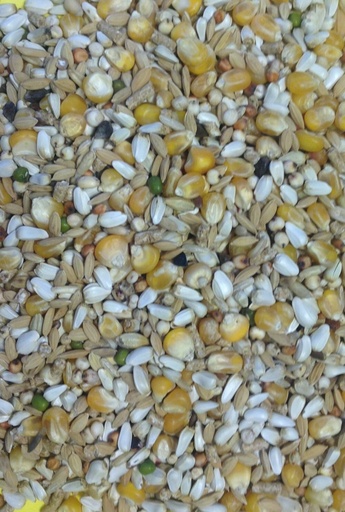 Gem Economic High Protein Pigeon & Dove Feed All Year Round