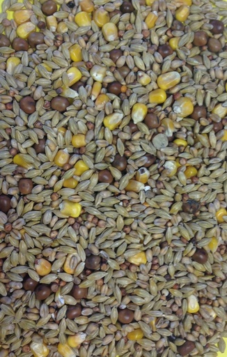 Gem Winter Special Pigeon & Dove Feed All Year Round