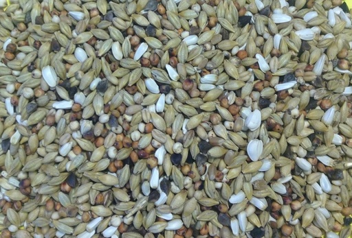 Gem Depurative Pigeon & Dove Feed All Year Round