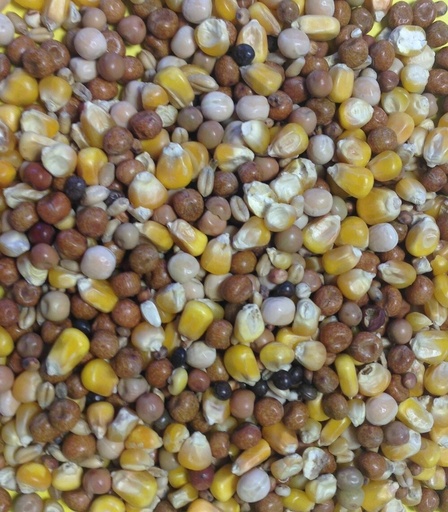 Gem Premier Pigeon & Dove Feed All Year Round