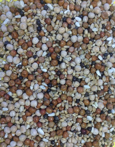 Gem Young Bird - No Maize Pigeon & Dove Feed All Year Round
