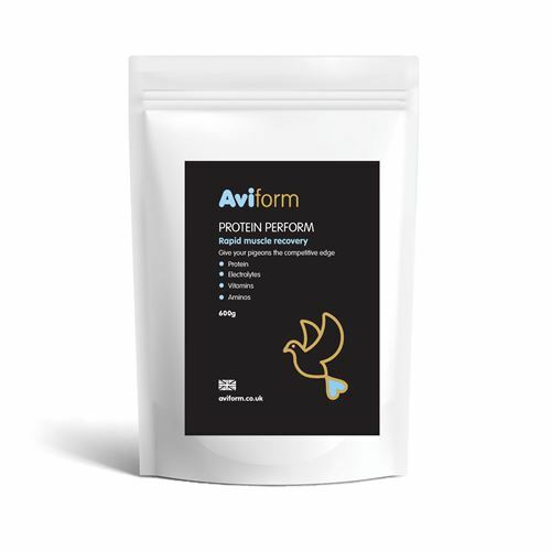 Aviform Protein Perform For Racing Pigeons