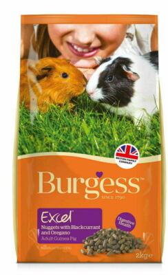[BUR033] Burgess Excel Guinea Pig Nuggets (Blackcurrant & Oregano) Sold In Clear Bag