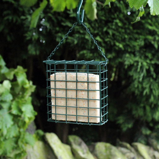 [BF030] Nature' Market Wild Bird Suet Cake Feeder With Chain (Metal)
