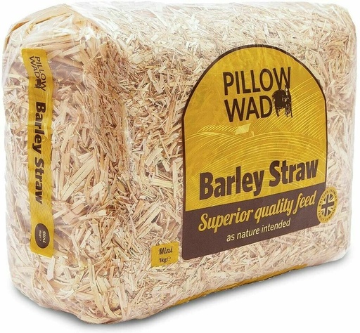Pillow Wad Premier Animal Barley Straw Mini