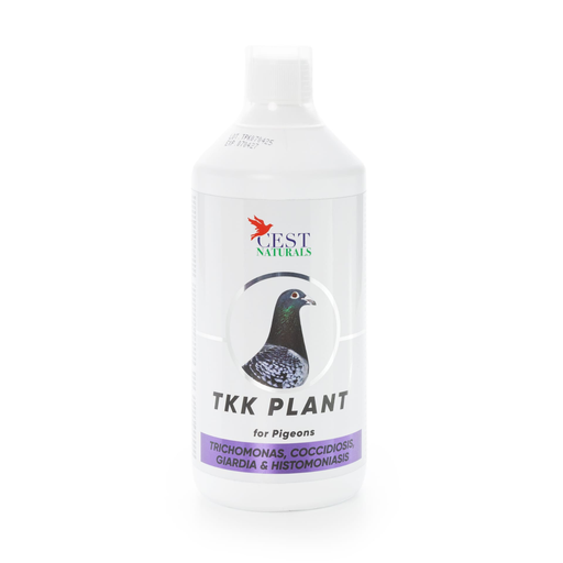 [CES135] Cest Naturals Tkk Plant - Pigeons, Racers, Show, Tumblers Etc