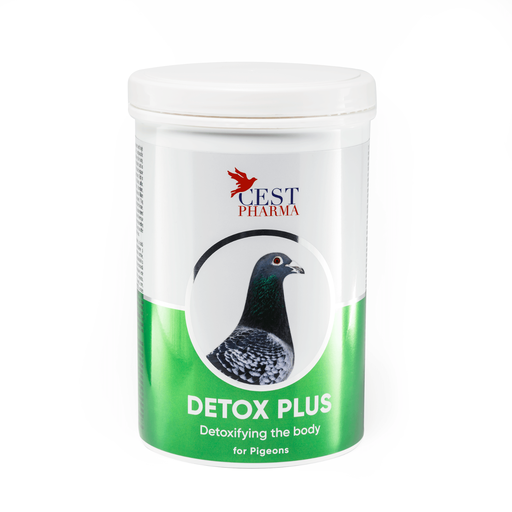 [CES025] Cest Pharma Detox Plus - Pigeons