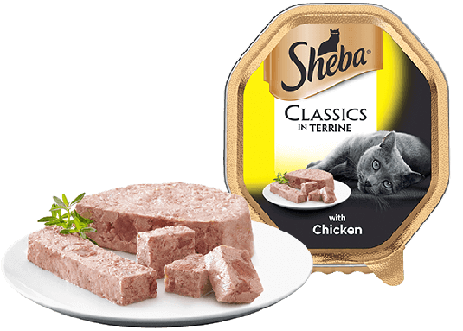 Sheba Classics In Terrine With Chicken 11 X
