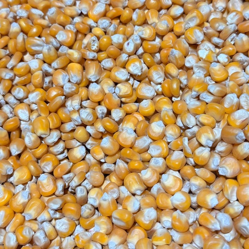 [STS062] V/L Cribbs Maize (25kg)