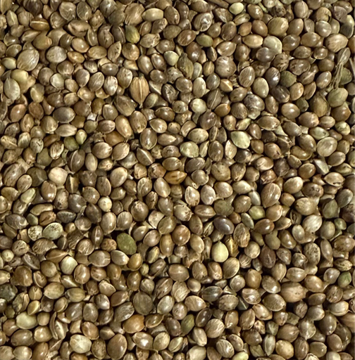 [STS047] Hemp Large Chinese (25kg)