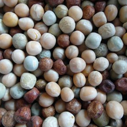 [BJF060] BJF Mixed Peas (25kg)