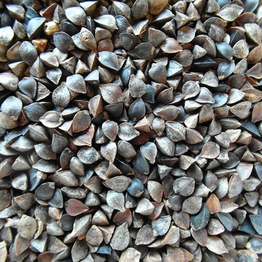 [STS030] Buck Wheat (25kg)