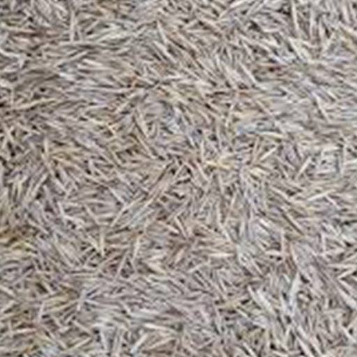 [STS035] Grass Seed White (10kg)
