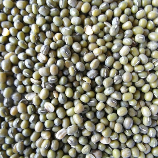 [STS070] Mung Beans (25kg)