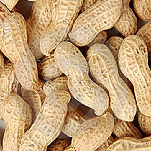 [STS090] Peanuts in Shells (11.34kg)