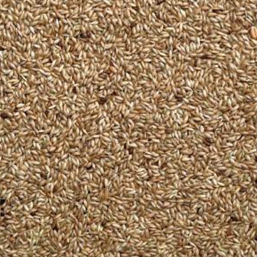 [STS098] Plain Canary Seed (Unbranded) (25kg)