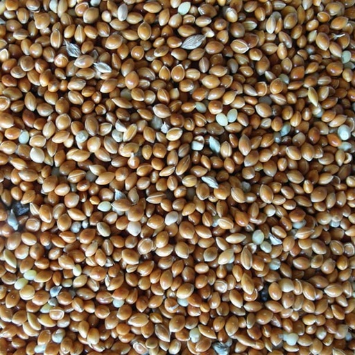 [STS114] Red Millet (Unbranded) (25kg)