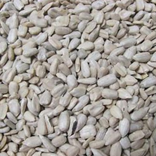 [STS121] Sunflower Hearts (20kg)