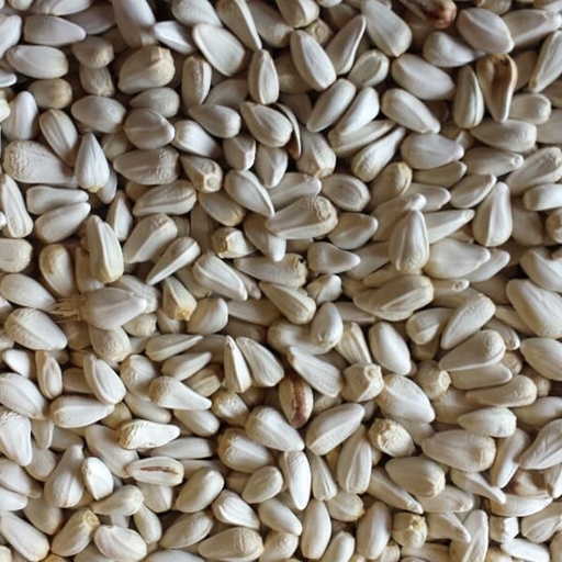[STS120] Safflower (25kg)