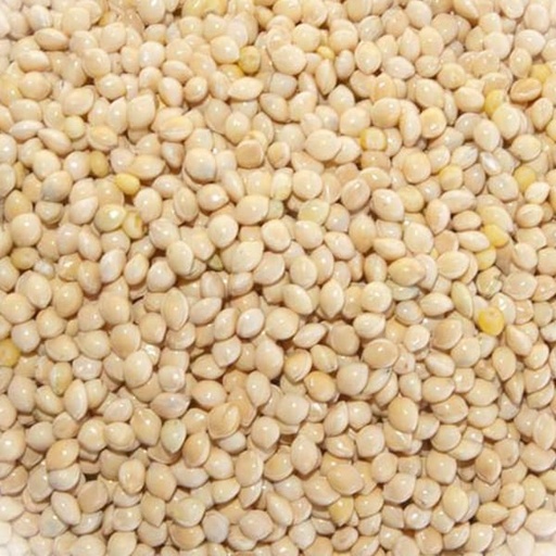 [STS137] White Millet (V/L) (25kg)