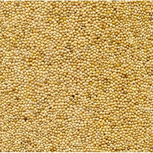 [STS144] Yellow Millet (Unbranded) (25kg)
