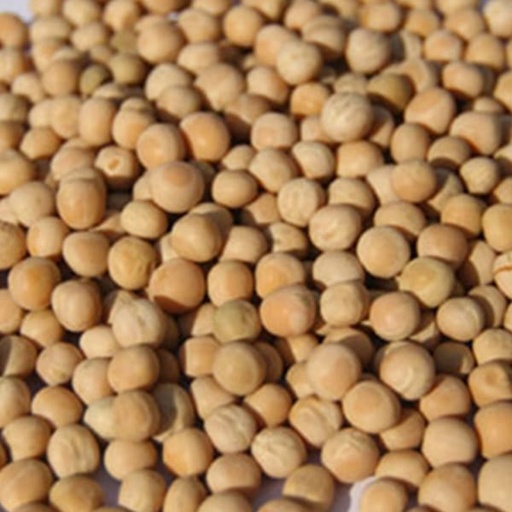 [STS140] White Peas (25kg)
