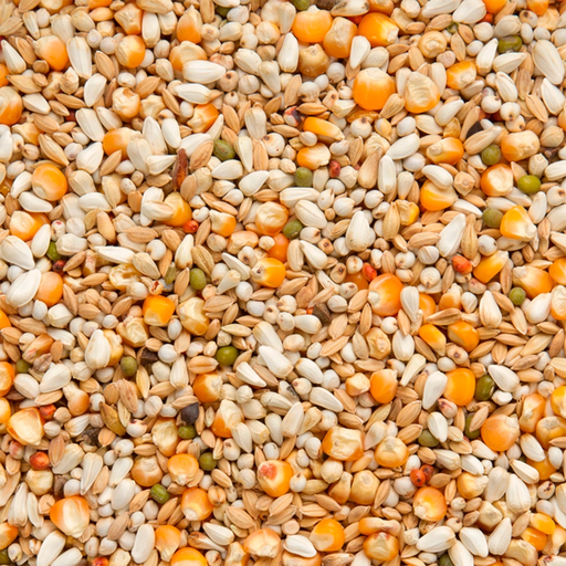 [BEY210] Vandenabeele Premium (20kg)