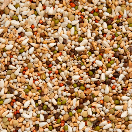[BEY160] Walzoontjens Yellow Premium (20kg)