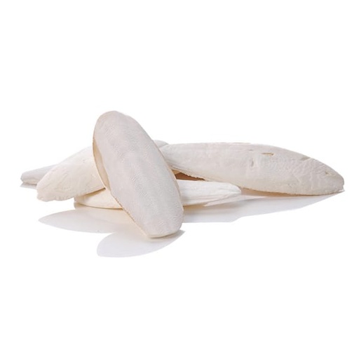 [CAG110] Cuttlefish (1kg) (3-4')