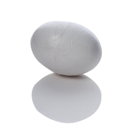 [NES060] Plastic Eggs - Solid (10 Pack)