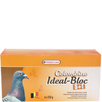 [PP025] Col. (5+1) Pick Blocks