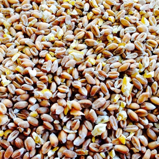 [POU010] Chicken Mix (25kg)