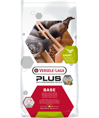 [VL085] Base Plus (20kg)