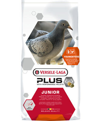 [VL115] Junior Plus (20kg)