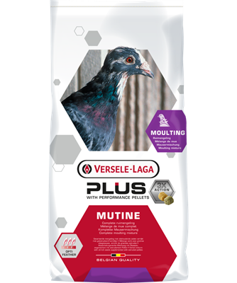 [VL120] Mutine Plus (20kg)