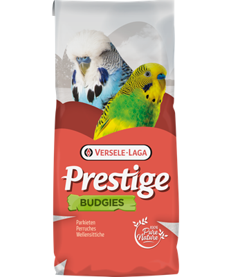 [VL160] Budgie (20kg)
