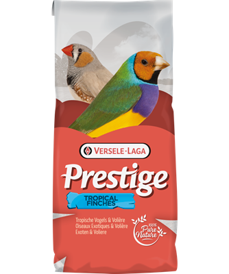 [VL235] Tropical Finch (20kg)