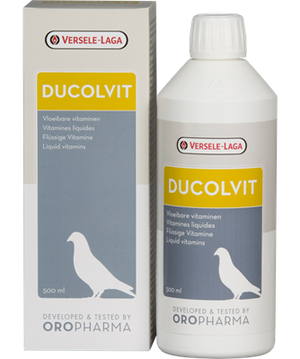 [VL320] Ducolvit