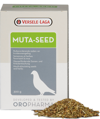 [VL370] Muta Seed