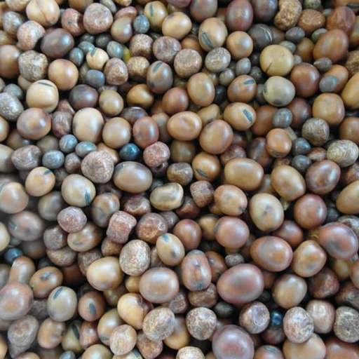 [BJF070] BJF No 1 Mix (25kg)