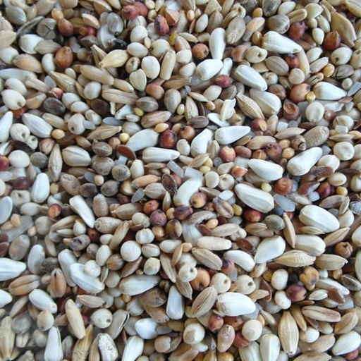 [BJE075] BJF Super Diet (20kg)