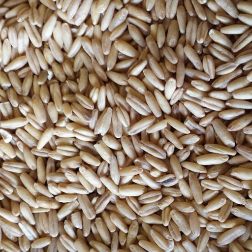 [FPA090] Naked Oats (Groates) (4kg)