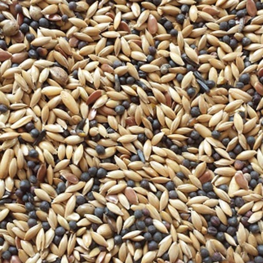 [BJC015] BJF Canary Mix (20kg)