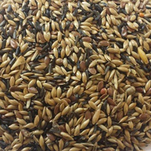 [BJC020] BJF Canary Breeding no Rape (20kg)